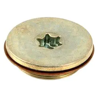 Camshaft Plug